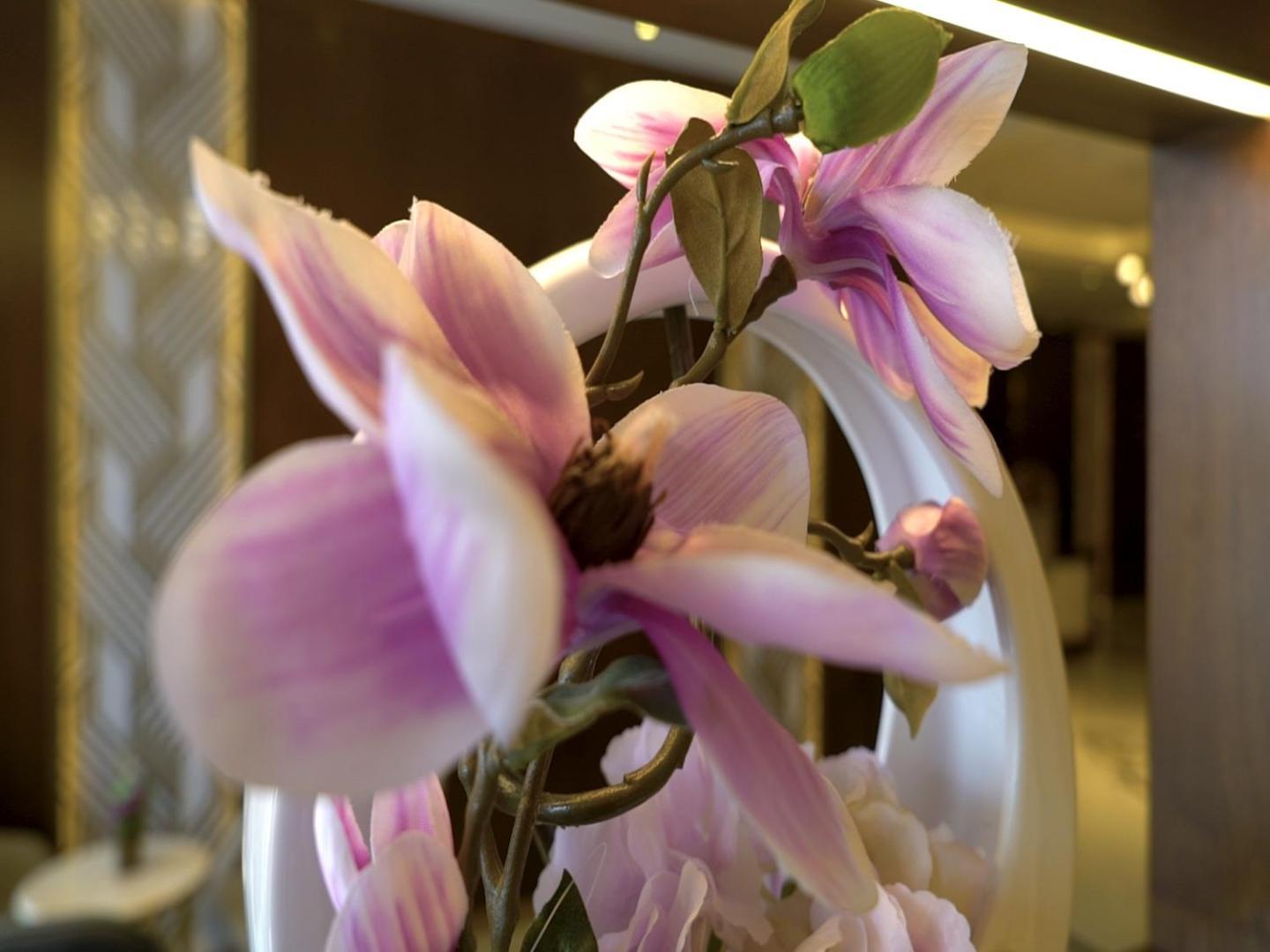 Aparthotel Violet Rose Aprit *